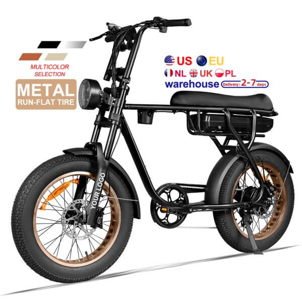 EB20 Electric Bicycle Fat e bike