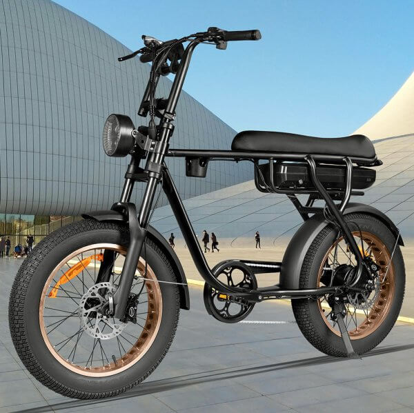 EB20 Electric Bicycle Fat e bike - Image 2