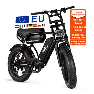 RSE PLUS Electric Bike