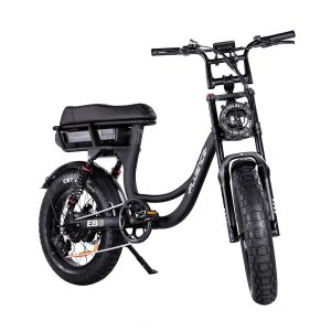 EB8 Fat EBike