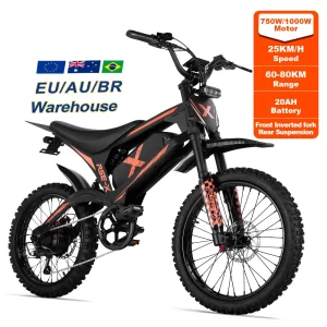 RSE-X Electric Mountain Bike