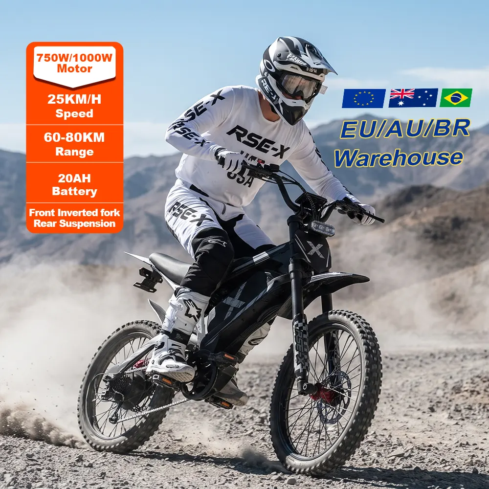 RSE-X Electric Mountain Bike - Image 9
